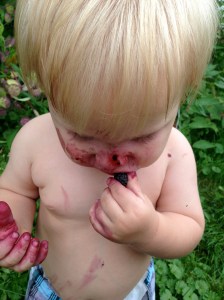 Eating black raspberries in the yard :)